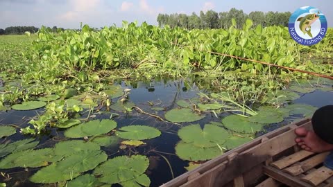 Puti Fishing in Beel