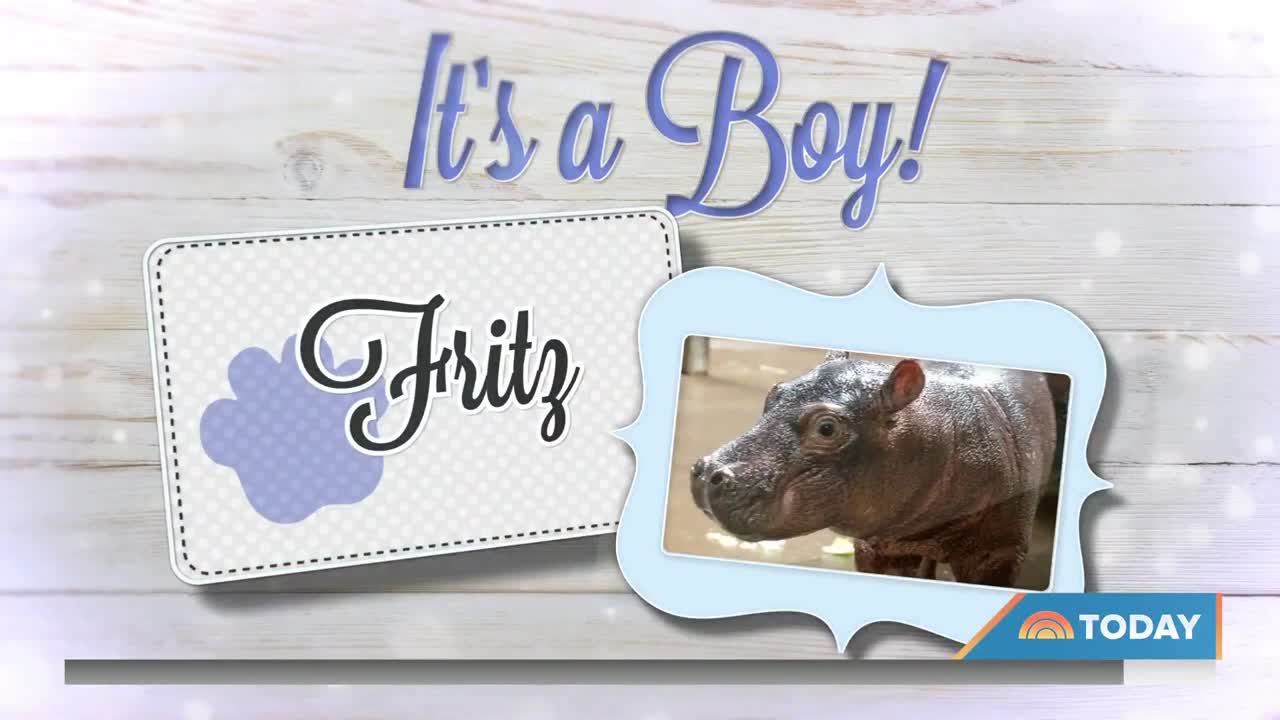 Find Out The Name Of The Cincinnati Zoo’s New Baby Hippo!