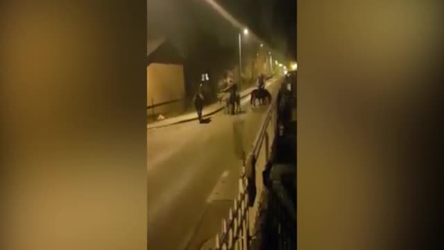 Zagreb: Neobična šetnja u Botincu