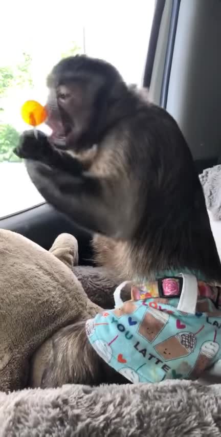 I just left the bank and Mrs Annie hooked