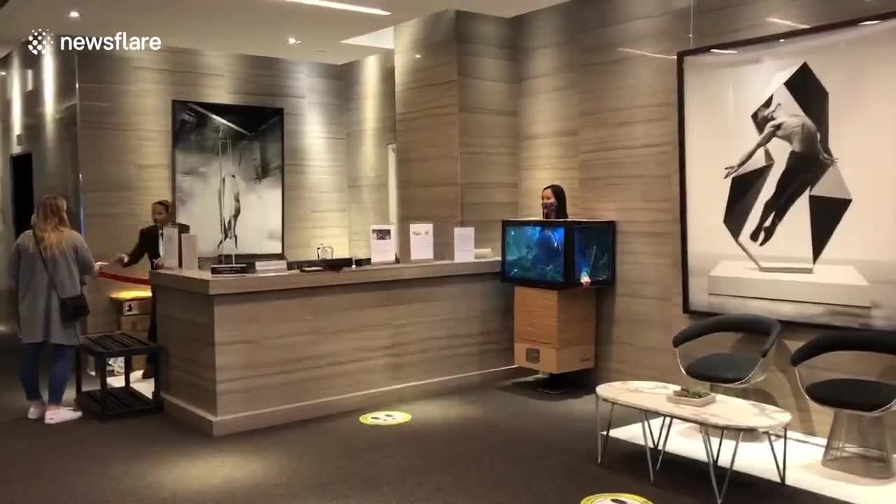 Best Costume: Woman dresses up as aquarium tank in hotel lobby