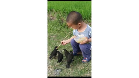 Cute little boy feeding cute little Birds!!!