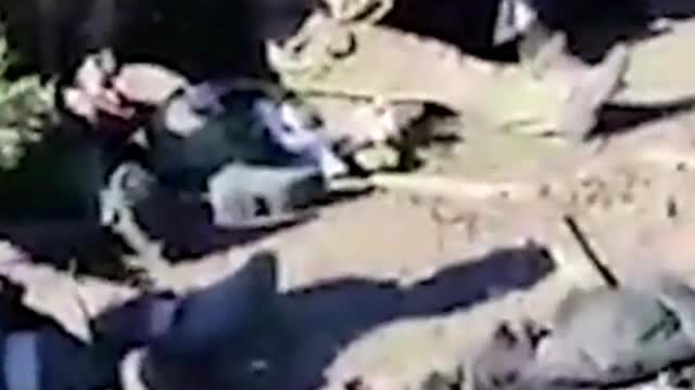 Special Thanks To IDIOT BOX YouTube Channel