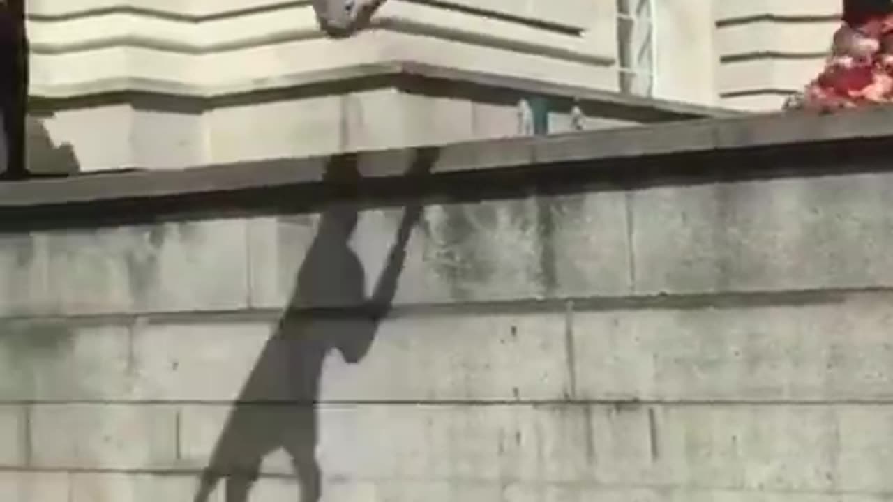 Parkour..... Its Not For Every Moron