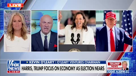 Kevin O'Leary Says Kamala Harris 'Has To Get Rid Of Biden' To Win Over Americans