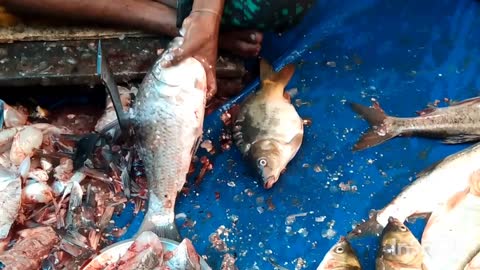 Amazing fish cutting by fish cutter man