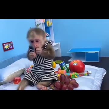 Monkey in business.Обезьянка при деле