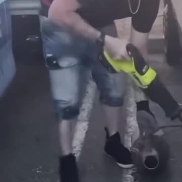 Catalytic Converter Thief...