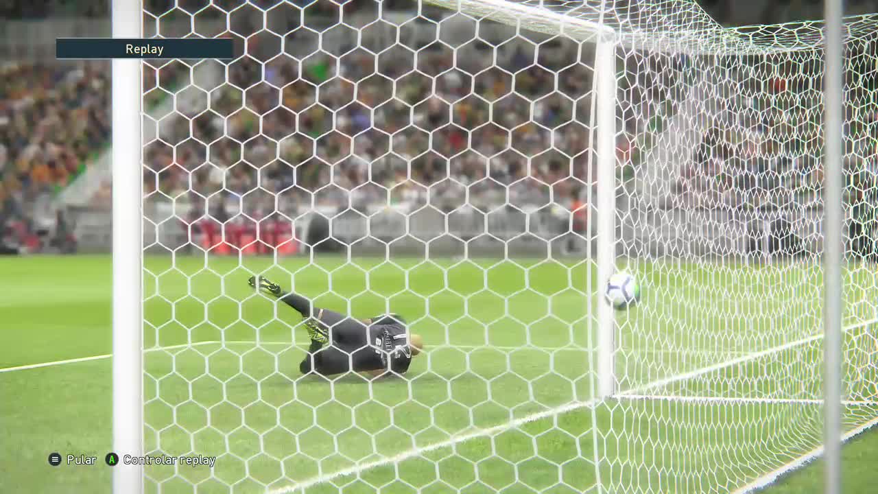 amazing goal duck