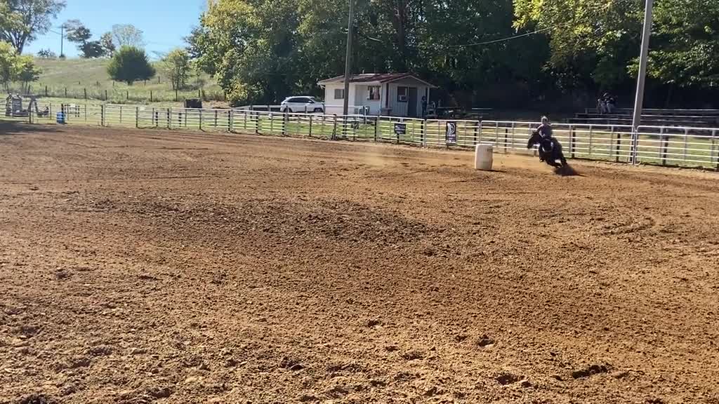 27_Trip for the win today ❤️