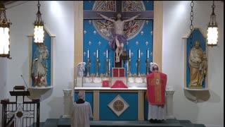 Traditional Latin Mass: Saint Luke the Evangelist - 10/18/24