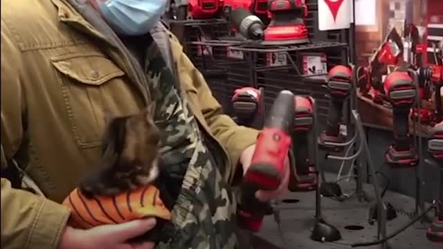 Cat Goes Absolutely Everywhere With His Dad