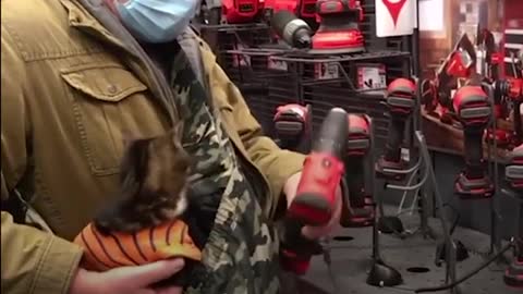 Cat Goes Absolutely Everywhere With His Dad