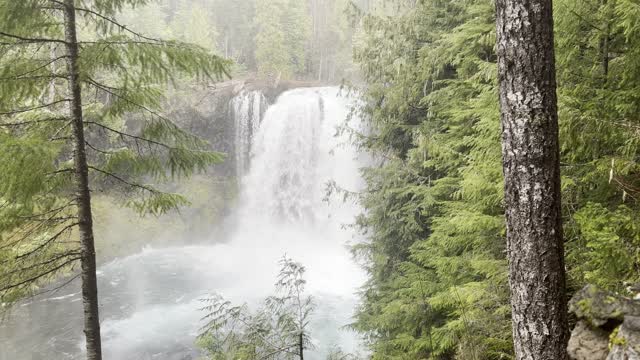 Roaring Koosah Falls in the Pouring Rain – Sahalie Falls & Koosah Falls Loop – 4K