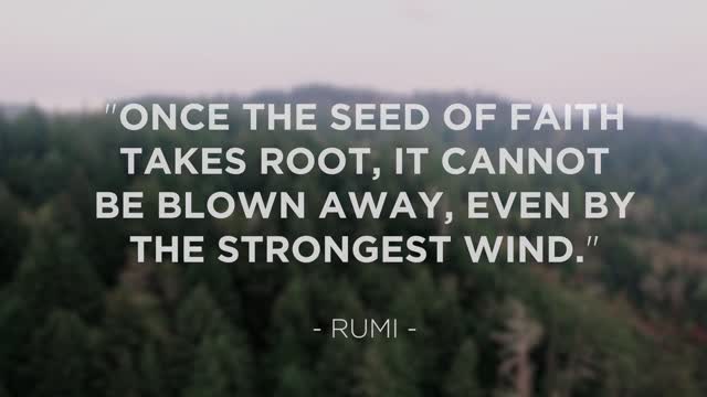 The Seed Inspirational