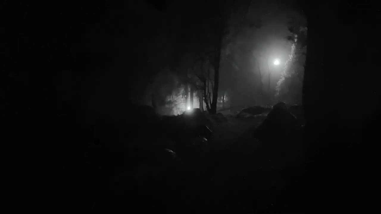 Most UNSETTLING Trail Cam Footage Caught on Camera