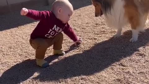 Cute Dog there is play time with cute baby