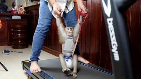 Monkey trennig exercise