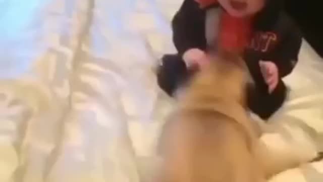 #dog 🐶 masti a baby 👶