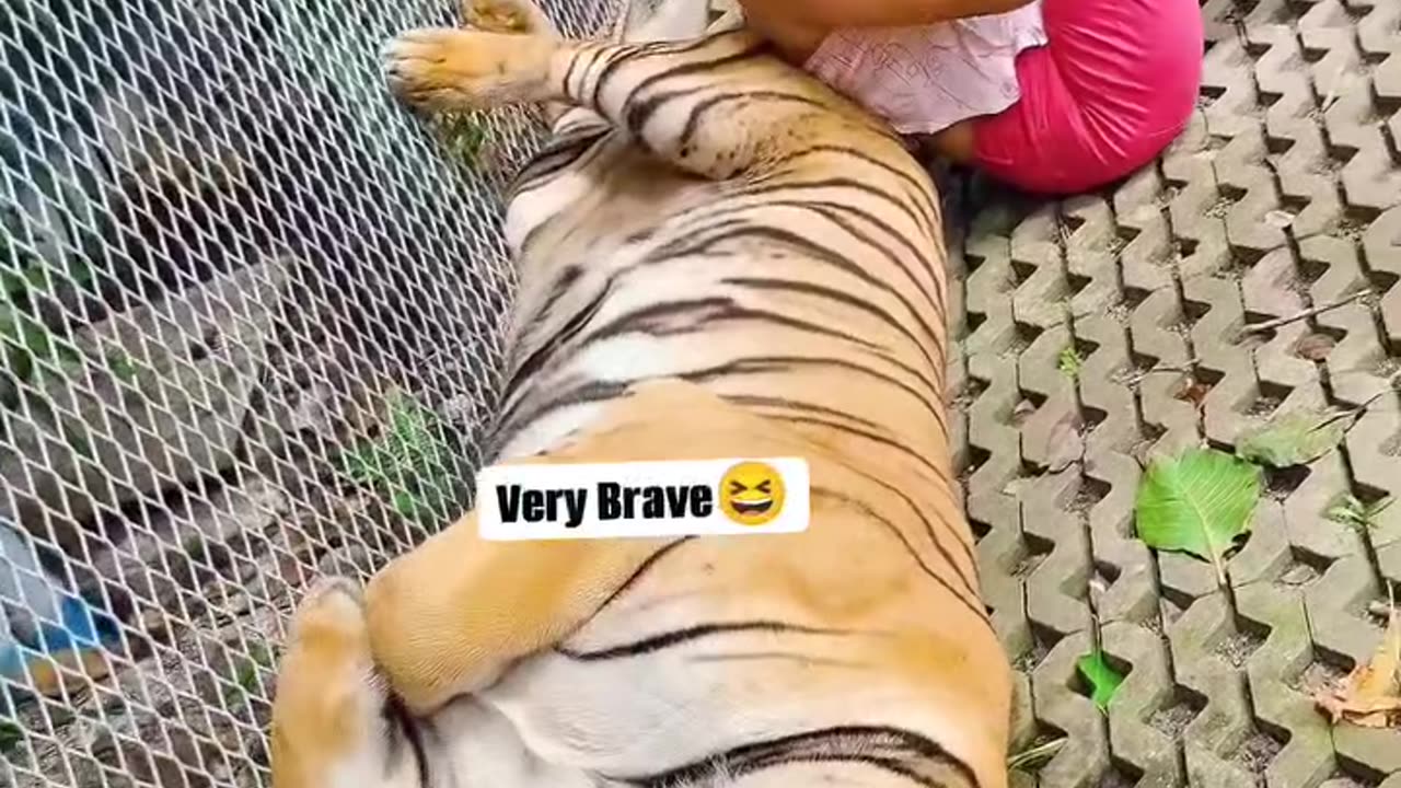 #funny very brave #viral