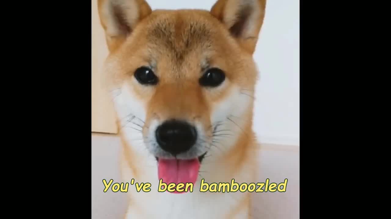 Get Bamboozled