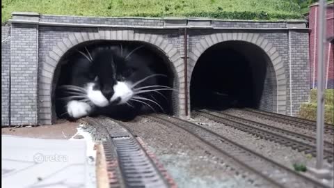 This is why you don't need to stand close to the railway tunnel. take care of yourself