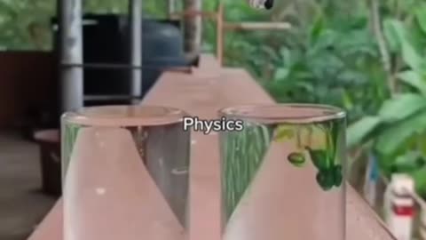 Physics experiment , science experiment