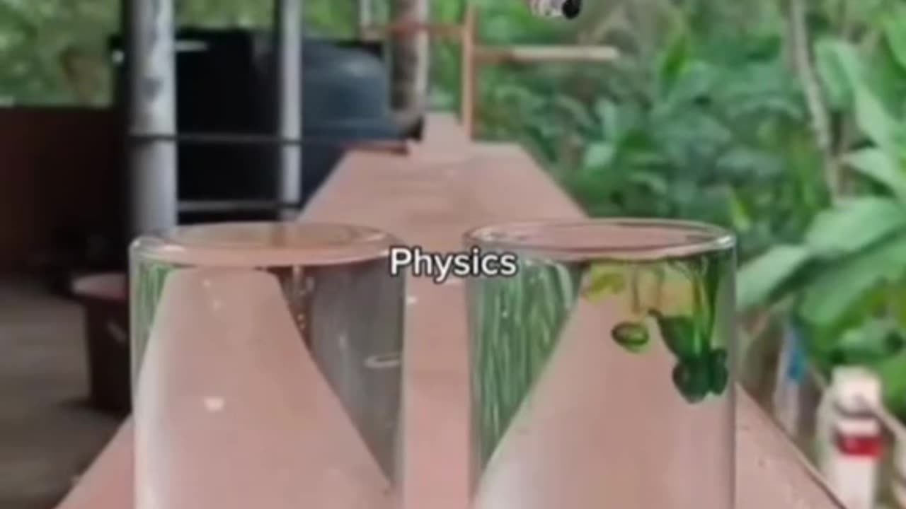 Physics experiment , science experiment