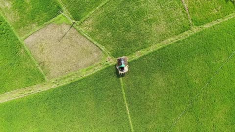 Drone caught Romantic Couple sharing Amazing moments in Nature