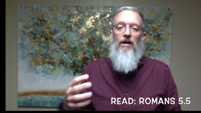 2x4 devotional, “sown”, November 5, 2021