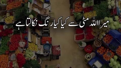 Subhanallah
