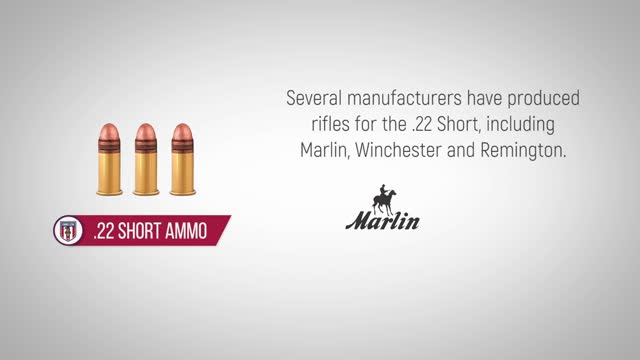 22 Short Ammo - History