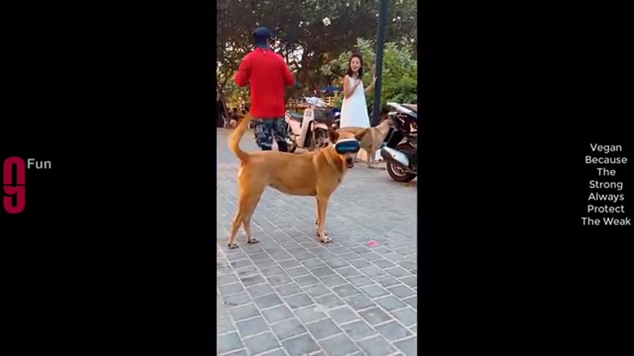 TRY NOT TO LAUGH😄😃😃😀😪 Best funny video of comleeo is combo of is completely,,#