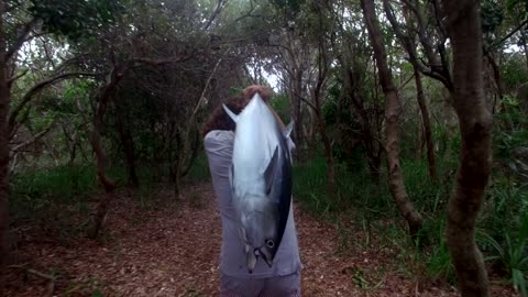 Drone Fishing For Tuna