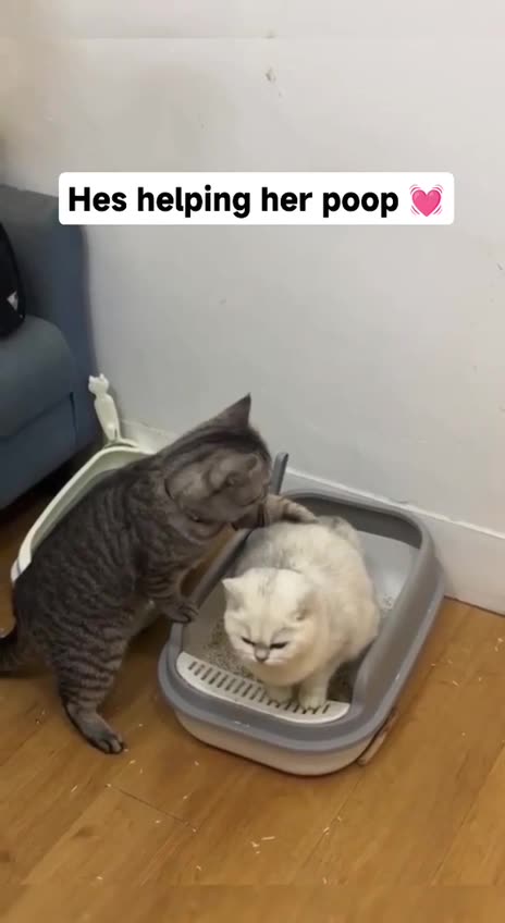 I understand love but this is too much 😂