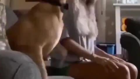 Lol 😂