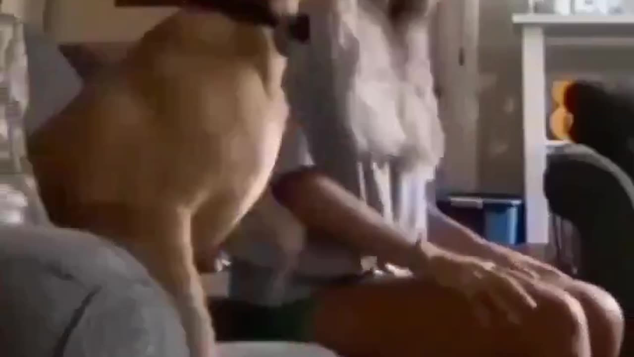 Lol 😂