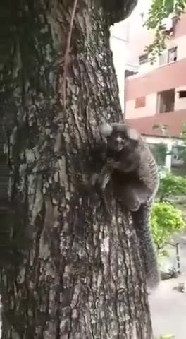 That look of "Ohh you saved him?" got me