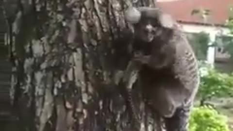 That look of "Ohh you saved him?" got me