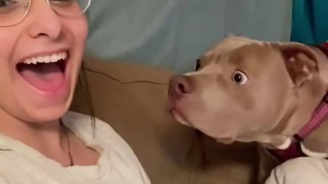 DOG REACTION ON HUMAN BARKING 🤣 II MUST WATCH II