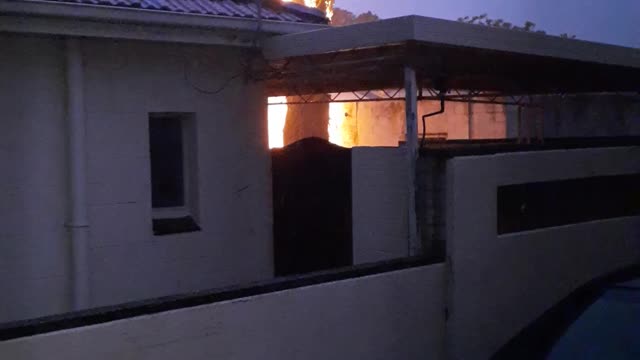 Lightning Sets Palm Tree on Fire