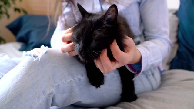 Beautiful woman stroking and hugging cat on the sofa