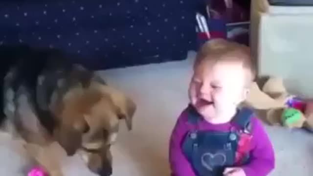 TOP - Funny Baby Short Videos P4