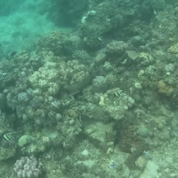 Underwater World, Amazing view of the reef