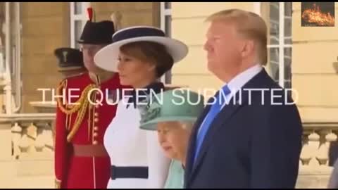 Trump Made Them All Submit, FACT