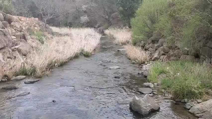 Springtime valley