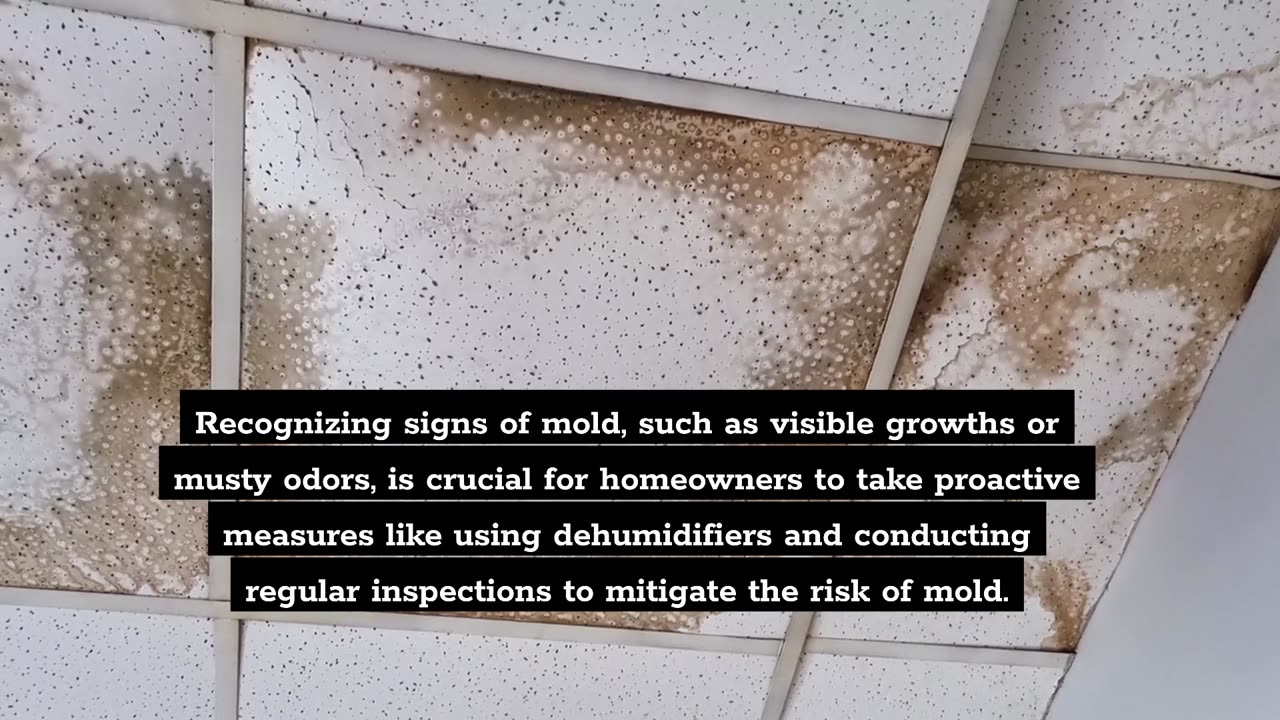 What Causes Mold in a House?