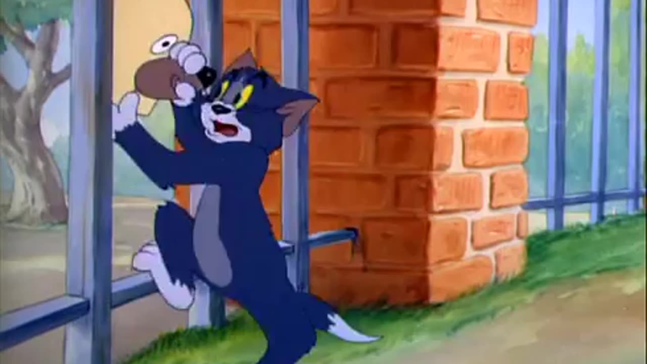 Tom and jerry cartoon.