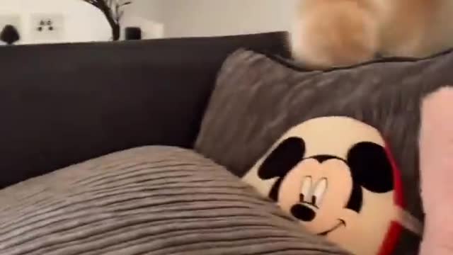 It's about to cause trouble lol 😆 😍