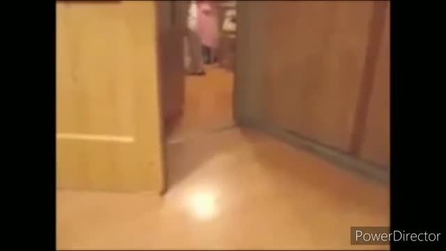 Funny cat 🐈🐈
